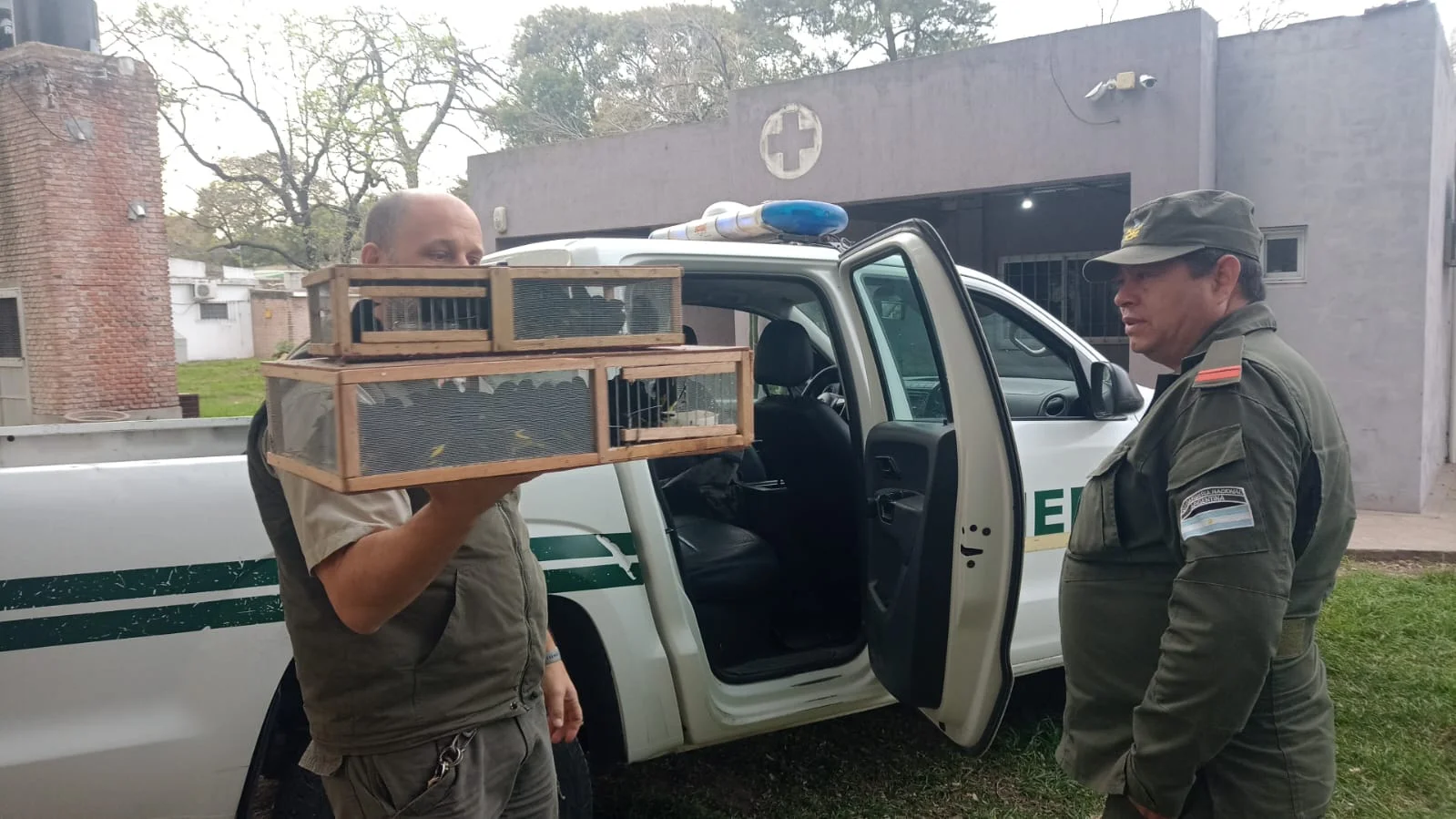 50_aves_ilegalmente_en_un_camion_santa_fe_2