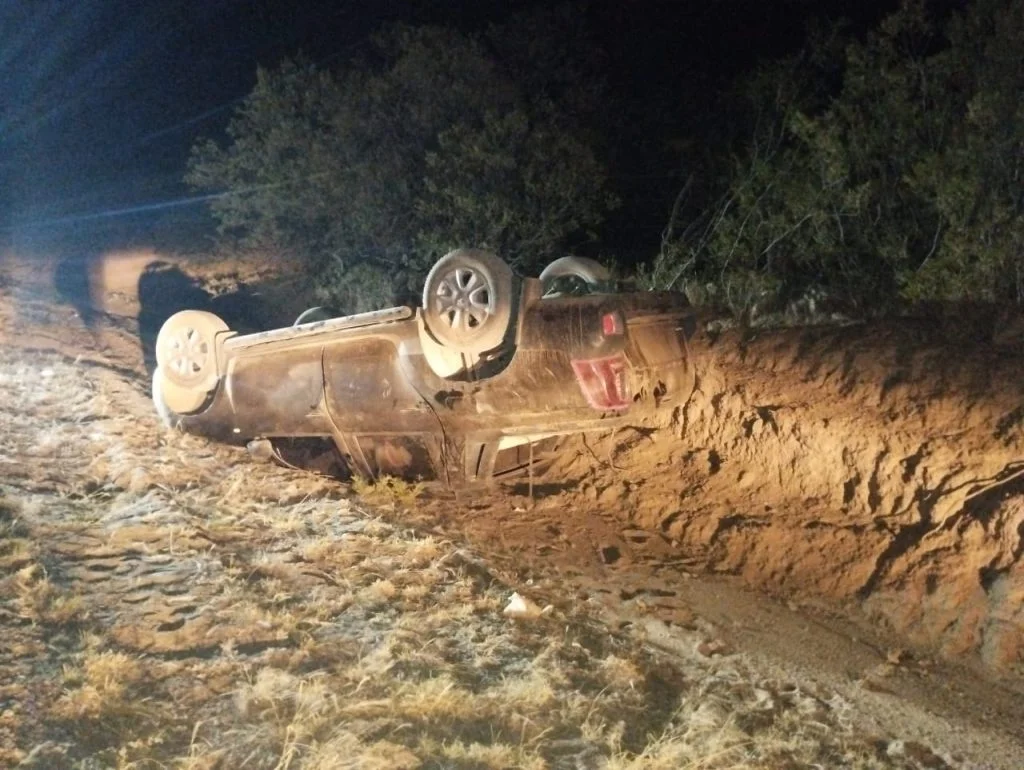 35b7585e-3a31-41c3-b9f1-ea12c96cdaa4-1024×770