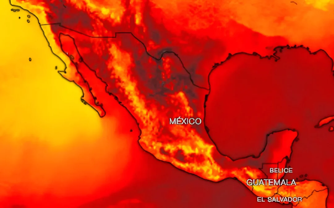 Ola de calor en México: 26 muertos y más de 200 incendios forestales reportados”