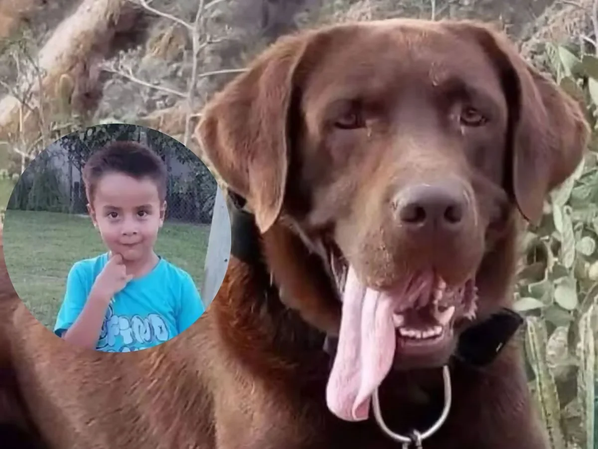 GMVMKBTGXZDMDI4DDV4WLIZY54