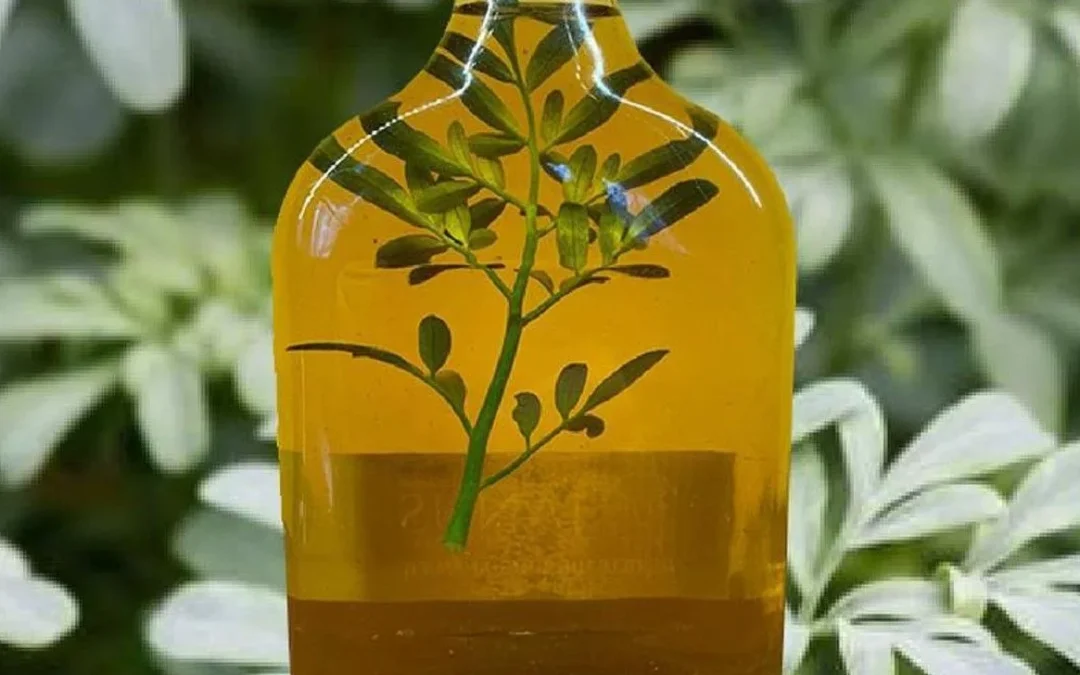 1° de agosto se toma caña con ruda para espantar los males del invierno y honrar a la Pachamama