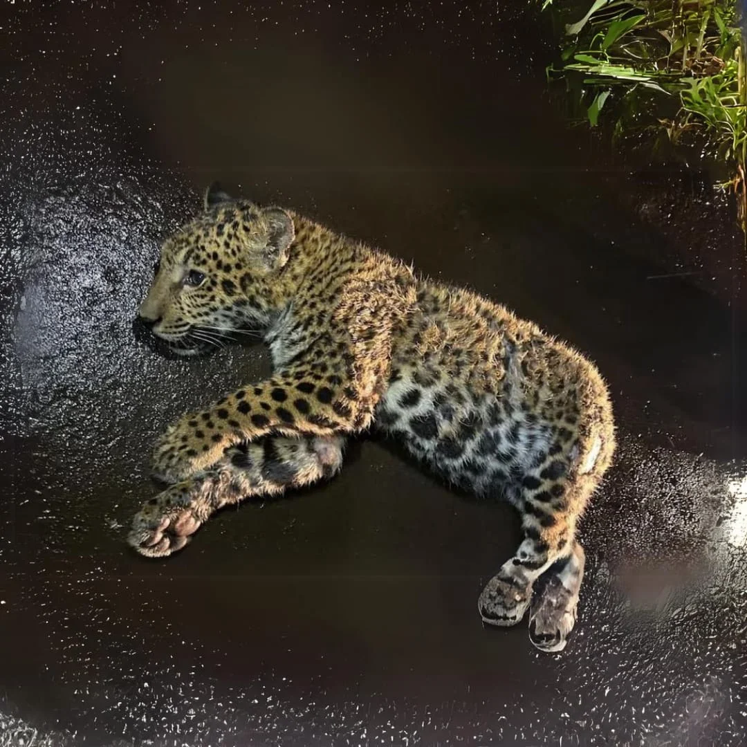 WhatsApp Image 2024-10-03 at 10.46.42