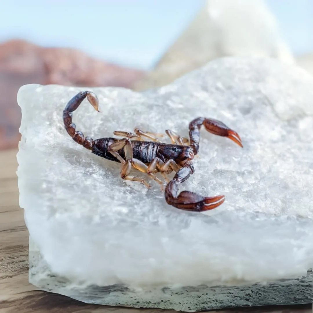 WhatsApp Image 2024-10-21 at 10.30.19