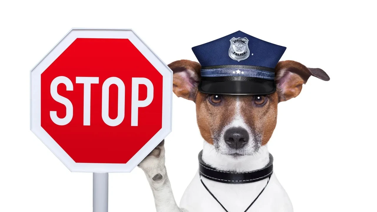 WhatsApp Image 2024-10-23 at 11.10.57 (1)