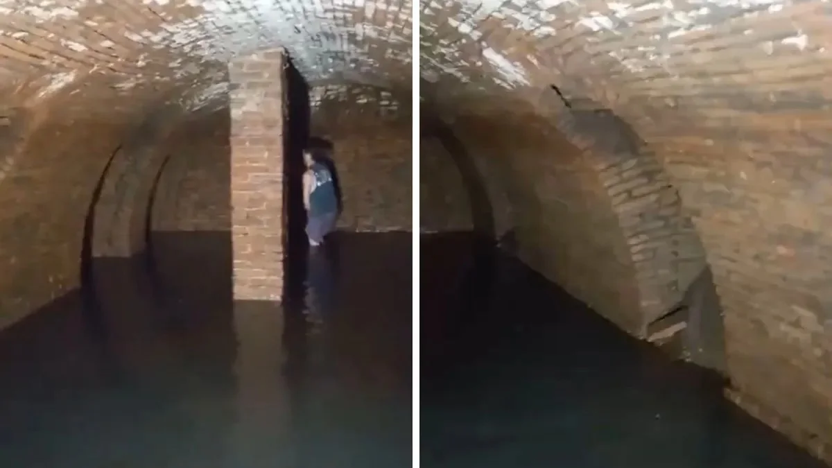 WhatsApp Image 2024-10-25 at 19.01.11