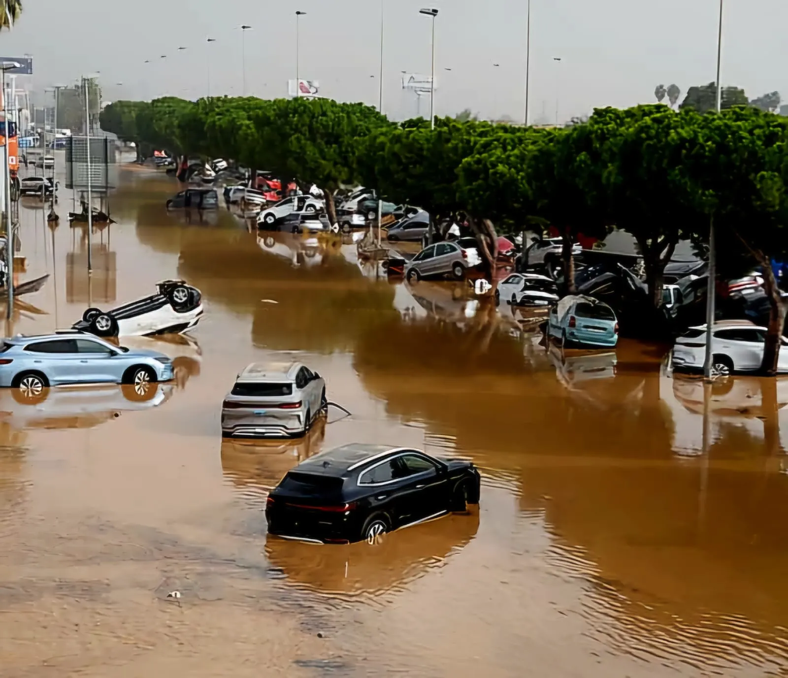 WhatsApp Image 2024-10-30 at 11.29.18