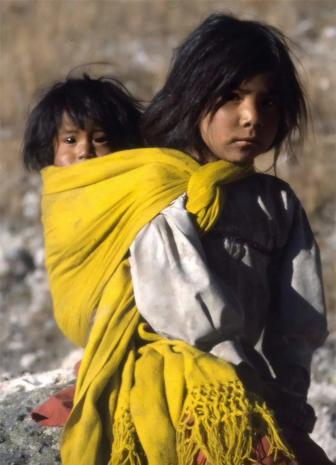 WhatsApp Image 2024-11-12 at 10.18.52