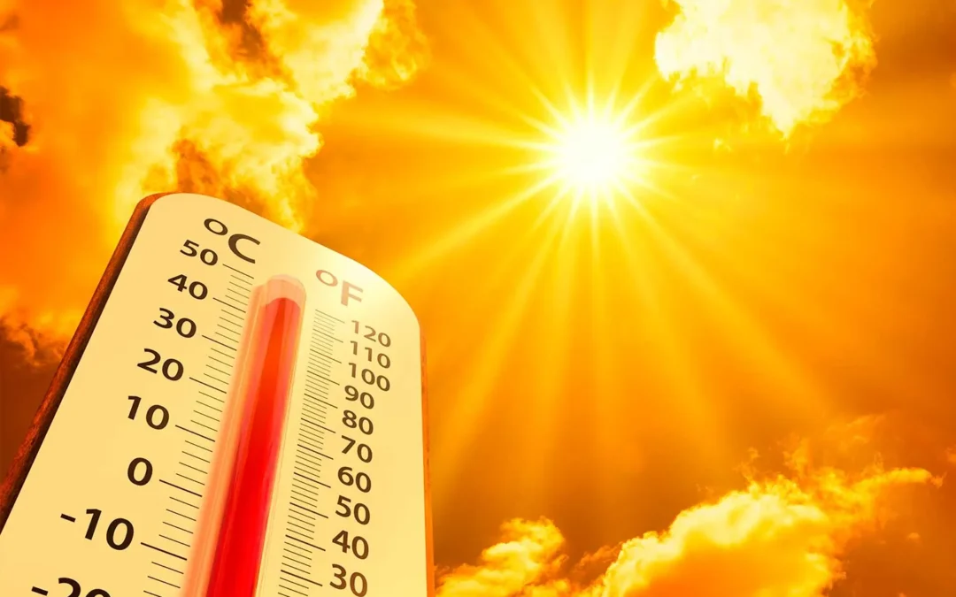 Histórico: El 2024 fue el año más caluroso jamás registrado