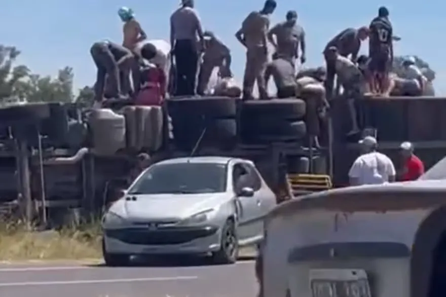 Volcó un camion de ganado: la gente lo saqueó y faenaron las vacas en plena ruta