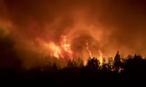 Río Negro: Se reavivaron los incendios en el Nahuel Huapi y se cerraron varias rutas turísticas