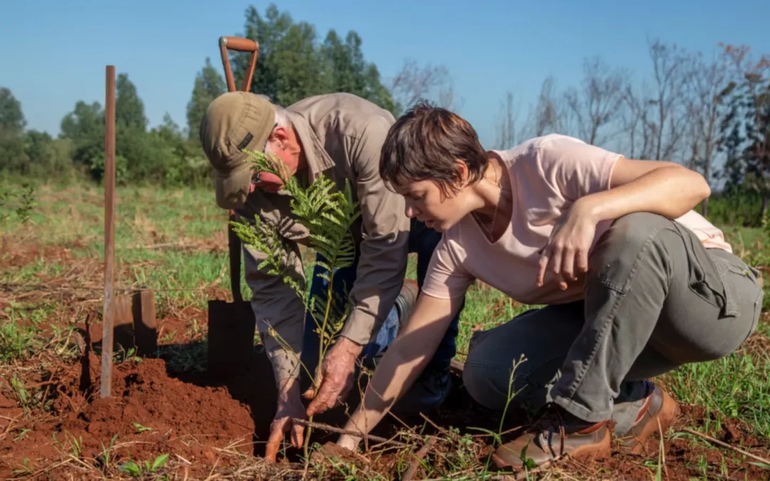 Misiones: Plantarán 36.000 árboles para recuperar 152 hectáreas de selva