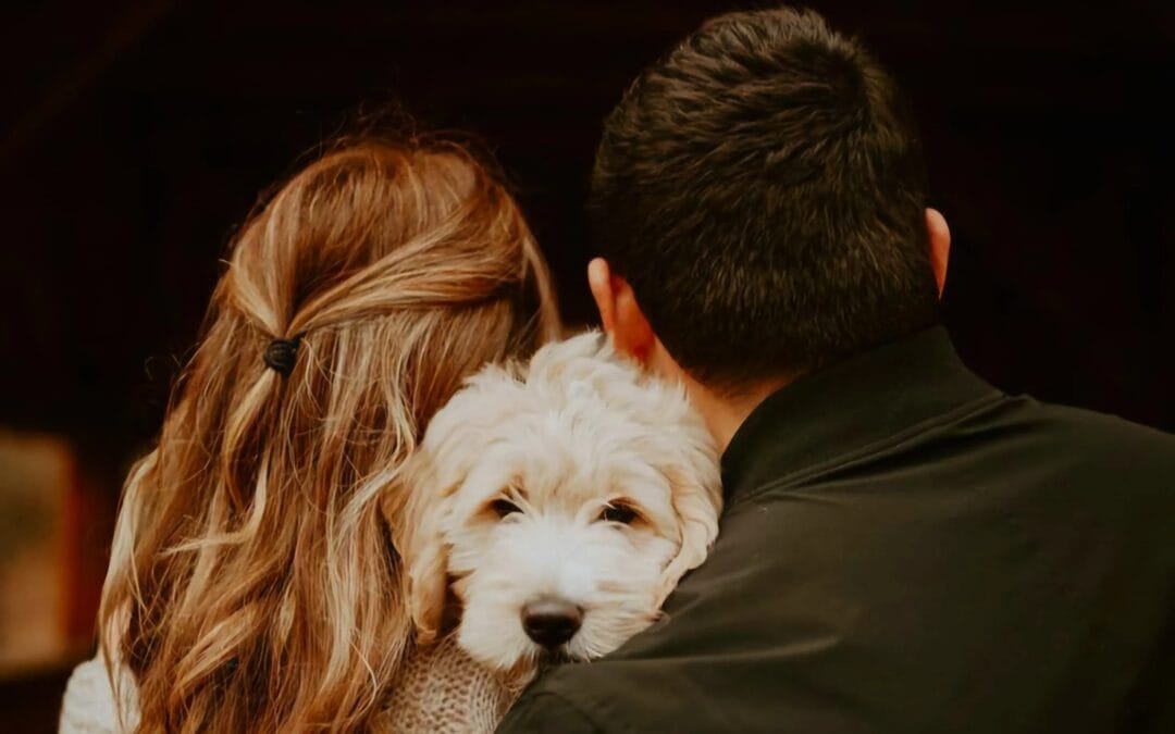 Según un estudio, el 49% de las personas prefieren salir con alguien que tiene perro