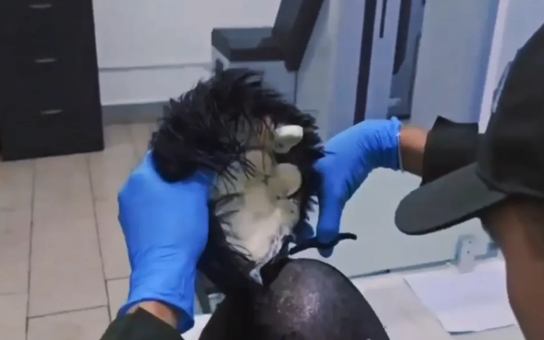 Un hombre intentó tomar un vuelo con 19 cápsulas de cocaína debajo de la peluca