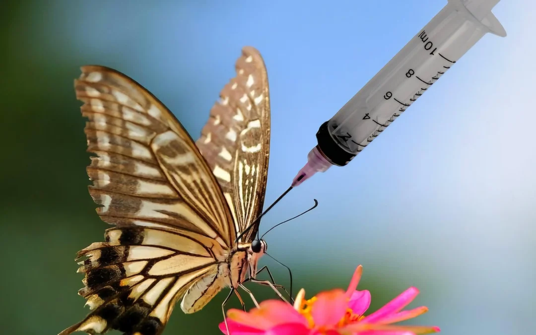 Un adolescente de 14 años murió tras inyectarse restos de una mariposa triturada