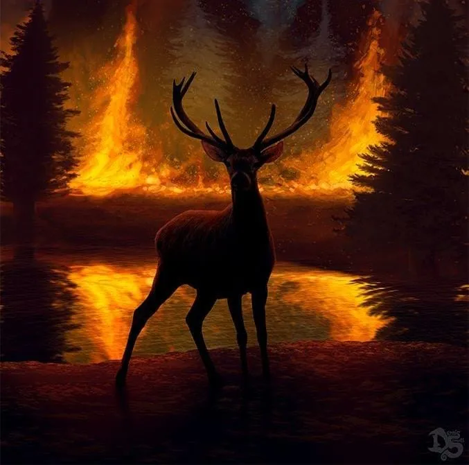 El nuevo subsecretario de Ambiente aseguró que el Gobierno falló en la prevención de incendios