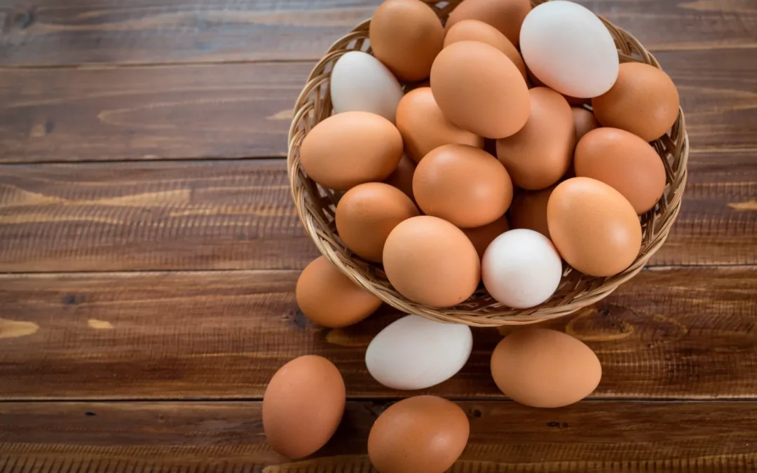 Estudios apuntan que quienes coman al menos 6 huevos a la semana tienen menos probabilidades de muerte cardiovascular