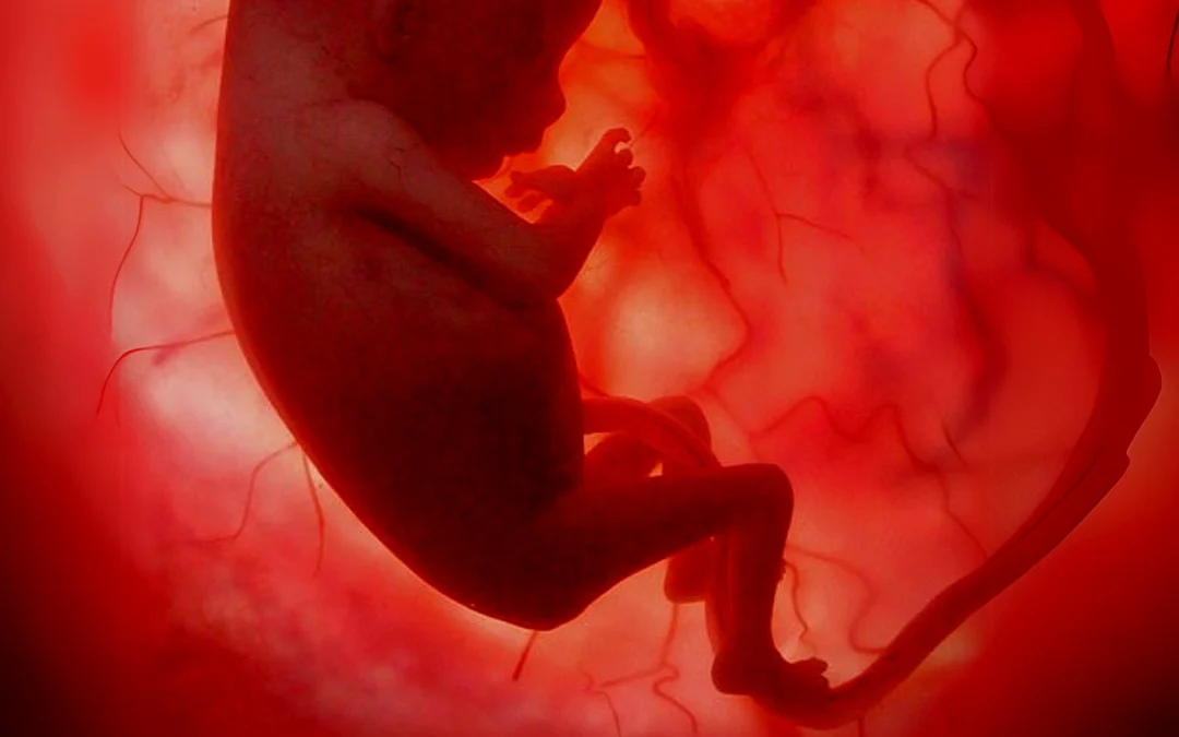 Científicos japoneses logran eliminar el cromosoma extra que causa el síndrome de Down