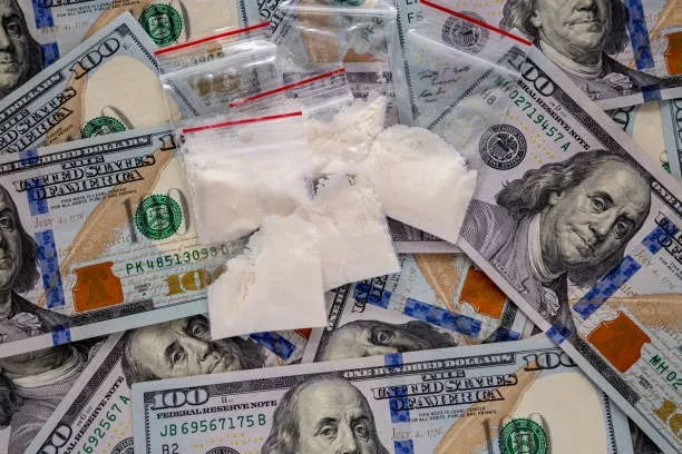 Detuvieron a una pareja viajaba desde Orán hacia La Rioja con sus dos hijos menores y casi 2 kilos de cocaína