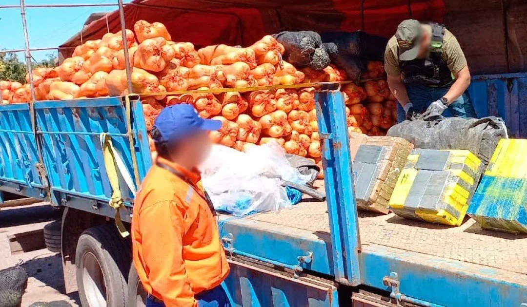 Córdoba: después de más de un año prófugo, cayó el capo narco que escondió 861 kilos de cocaína en zapallos