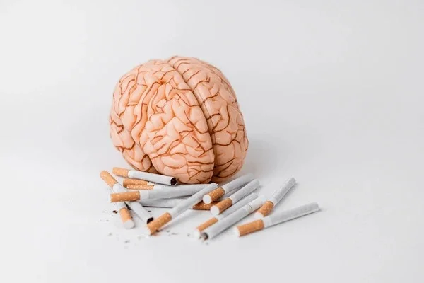 Fumar achica el cerebro, reduce la memoria y acelera el deterioro mental, según un estudio con 30.000 resonancias