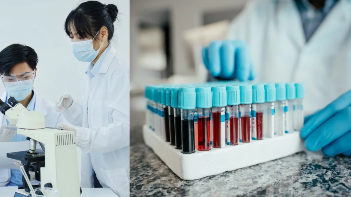 WhatsApp Image 2025-06-02 at 20.29.14