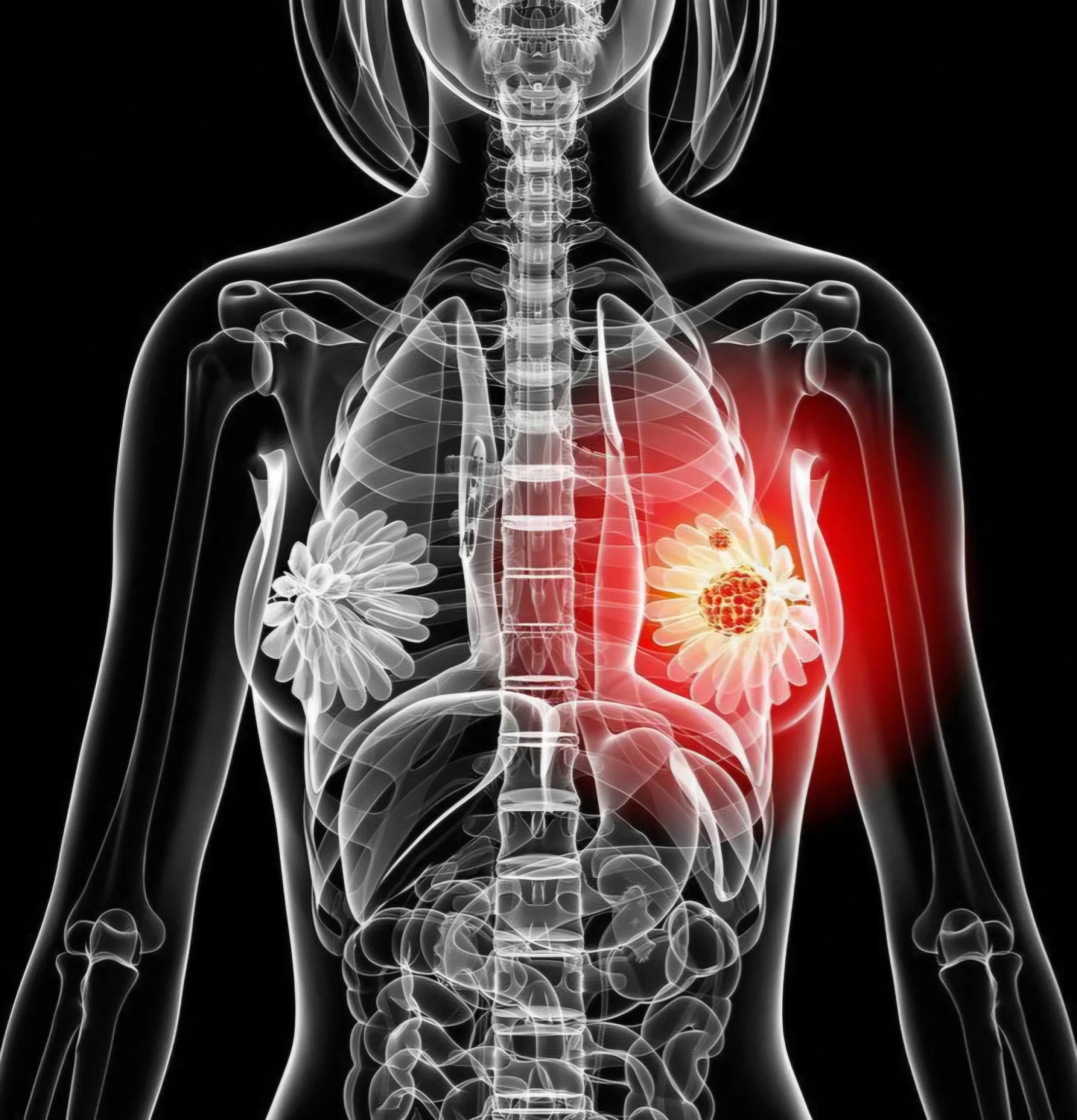 WhatsApp Image 2025-06-06 at 11.54.57