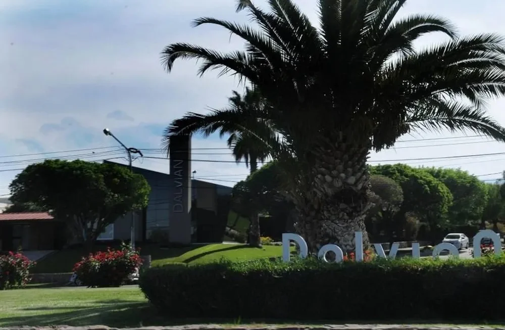 Mendoza: Una familia denunció a un albañil por abusar a su perra