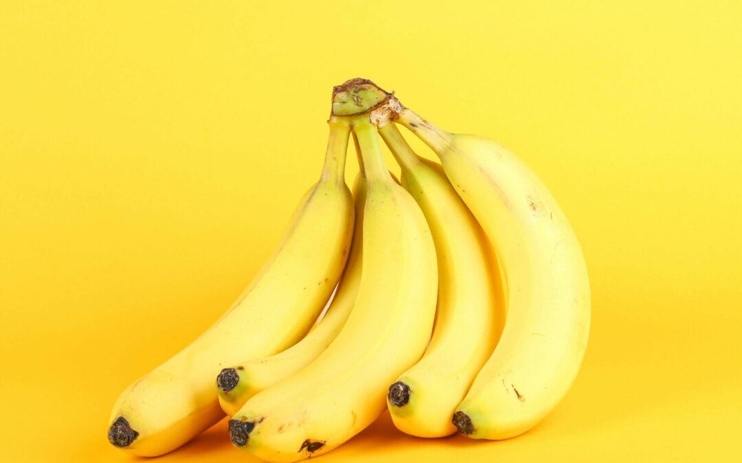 Bananas en peligro de extinción: alertan que el mundo perdería más de la mitad de su producción antes del año 2080
