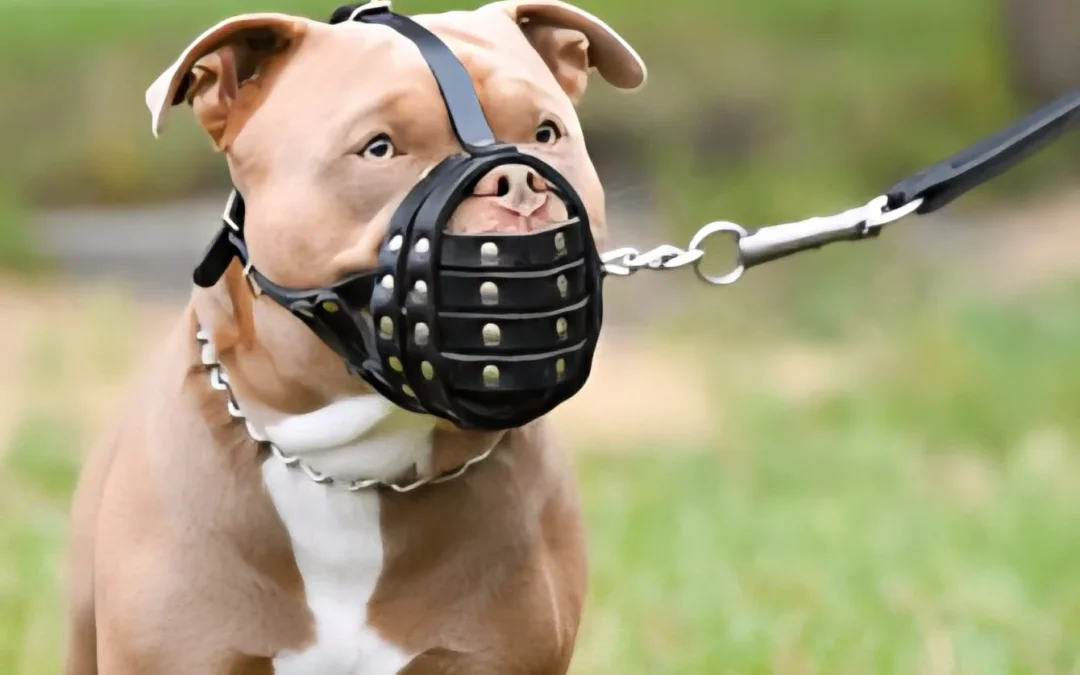 Le otorgaron «prisión domiciliaria» a una perra que mató a varias mascotas