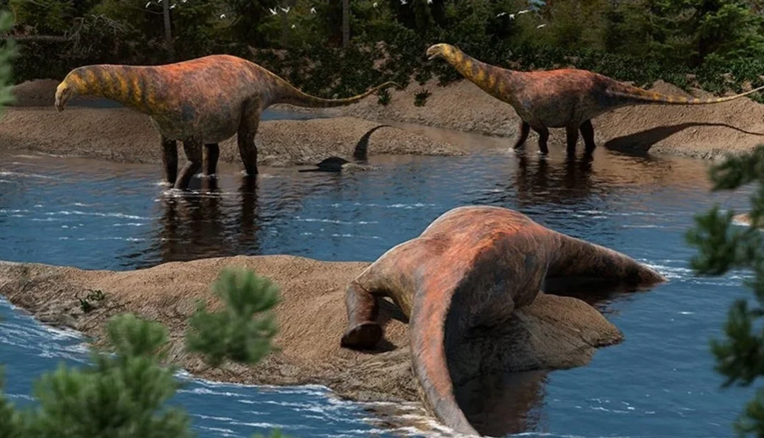 Neuquén: Investigadores del CONICET descubrieron una nueva especie de dinosaurio