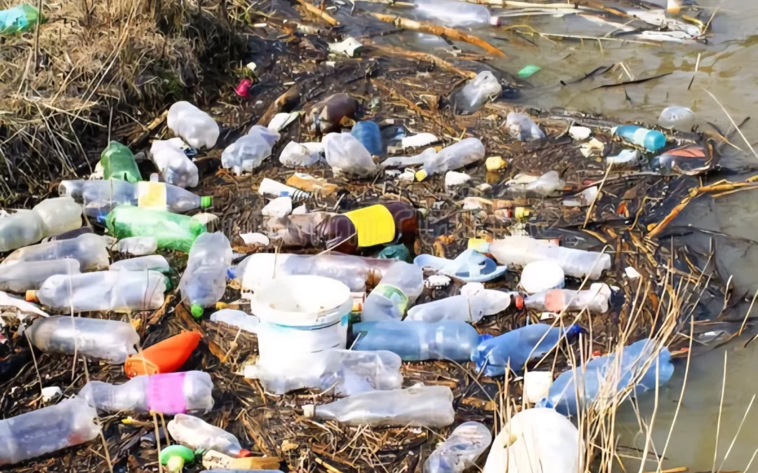 Catamarca: Encontraron a un bebé recién nacido sin signos vitales en un basural