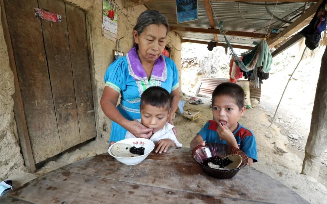 Niños con hambre: 4,3 millones viven inseguridad alimentaria