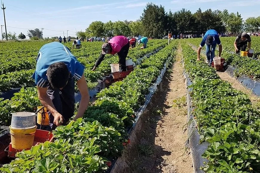 El 42% de los trabajadores en Argentina están en negro y sobreviven sin aportes ni cobertura