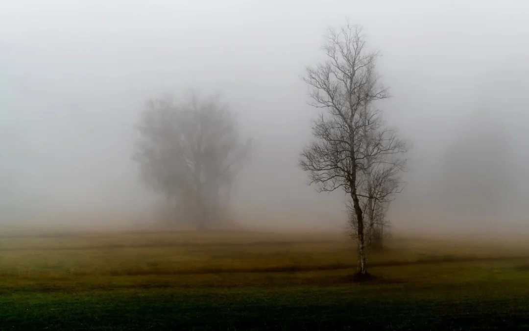 Emiten alerta por vientos fuertes y niebla para gran parte de La Rioja