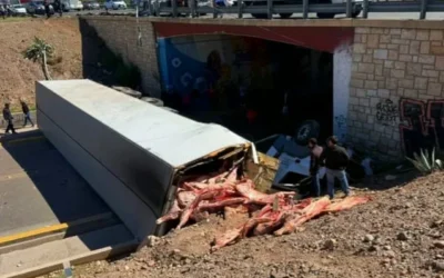 Guaymallén, Mendoza: Volcó un camión con carne, los vecinos intentaron llevársela y hubo balas de goma