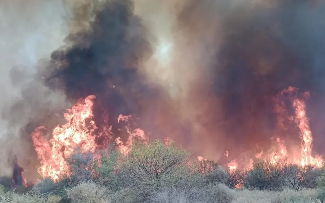 La Rioja: Tres hombres fueron detenidos tras un gran incendio en Los Sauces que arrasó con 14 hectáreas