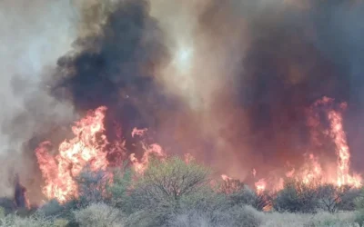 La Rioja: Tres hombres fueron detenidos tras un gran incendio en Los Sauces que arrasó con 14 hectáreas
