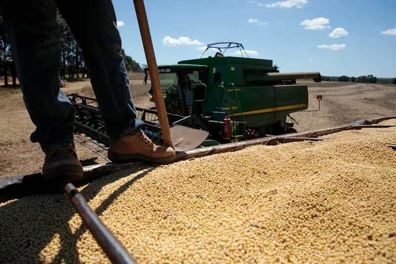 Nación confirmó que se alcanzó el cupo previsto y vuelven las retenciones a granos y subproductos