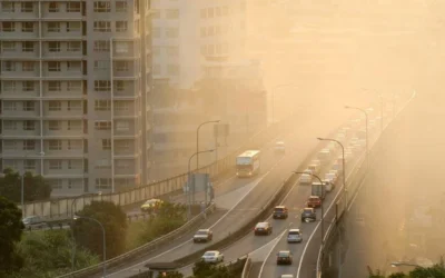 La OMS confirmó que el 99% de la población mundial respira aire con niveles peligrosos de contaminación