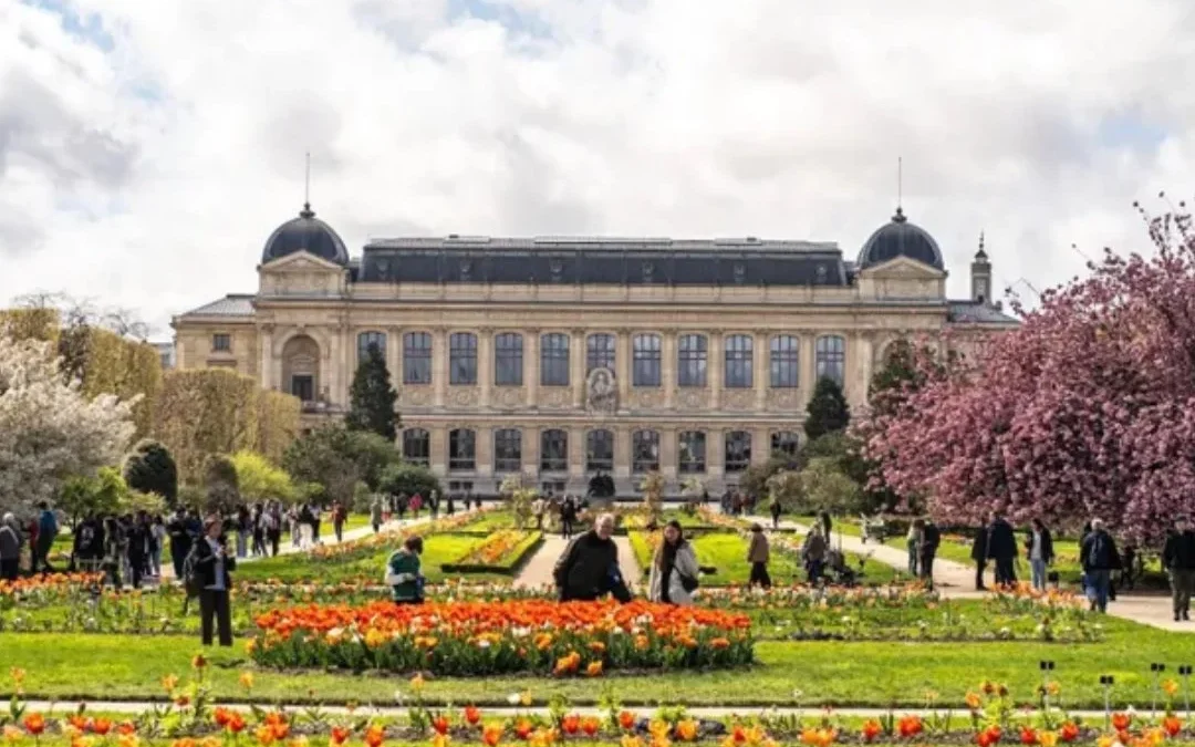 Otro robo a un museo de París: se llevaron pepitas de oro valuadas en 1,5 millones de euros