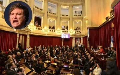 Este jueves a las 10 el Senado rechazará los vetos de Milei sobre financiamiento universitario y emergencia pediátrica