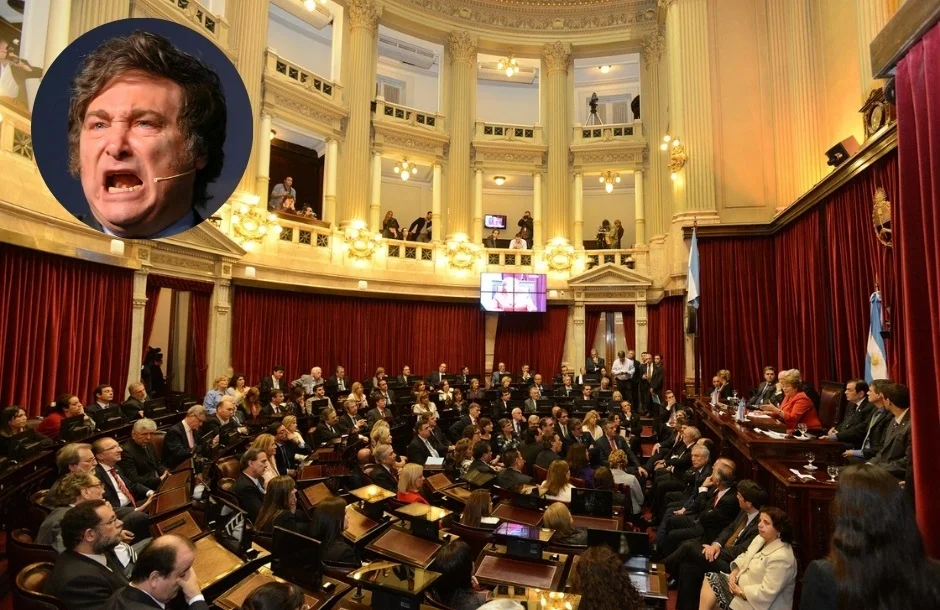 Este jueves a las 10 el Senado rechazará los vetos de Milei sobre financiamiento universitario y emergencia pediátrica