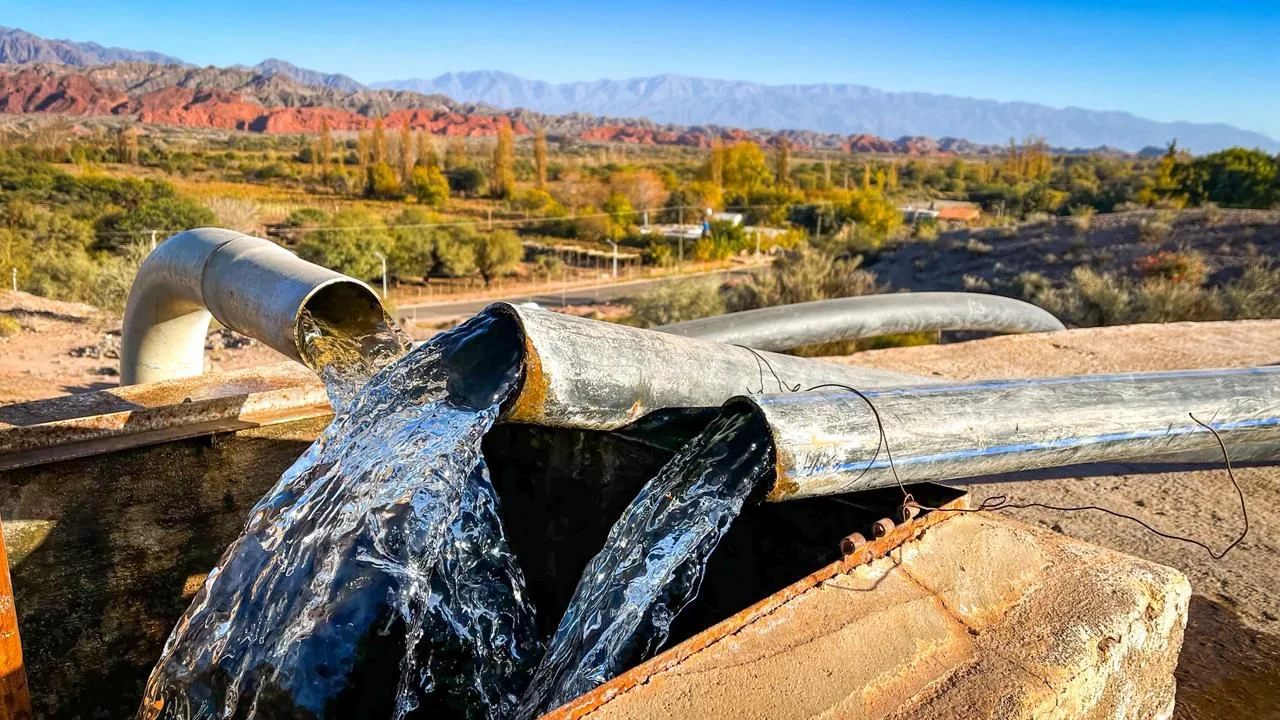 WhatsApp Image 2025-10-02 at 20.49.51