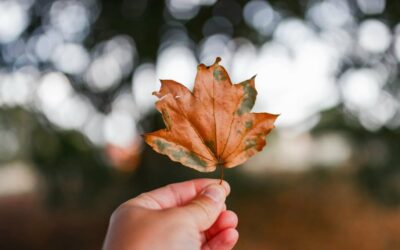 Un ucraniano creó papel con hojas secas: salva hasta 17 árboles por tonelada