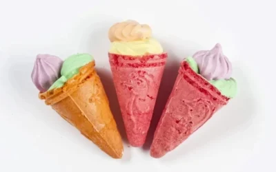 La ANMAT prohibió los “Heladitos Secos Copito de Nieve” por ser peligrosos para la salud y tener registros falsos