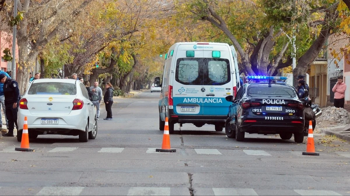 WhatsApp Image 2025-10-20 at 12.16.34