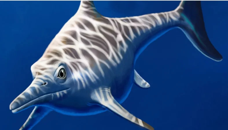 Científicos argentinos encontraron un reptil que habitó mares patagónicos hace 150 millones de años