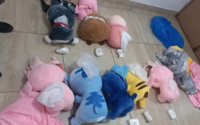 Gendarmería frenó un colectivo de Tucumán a Mendoza y halló 2,8 kilos de cocaína escondidos dentro de peluches