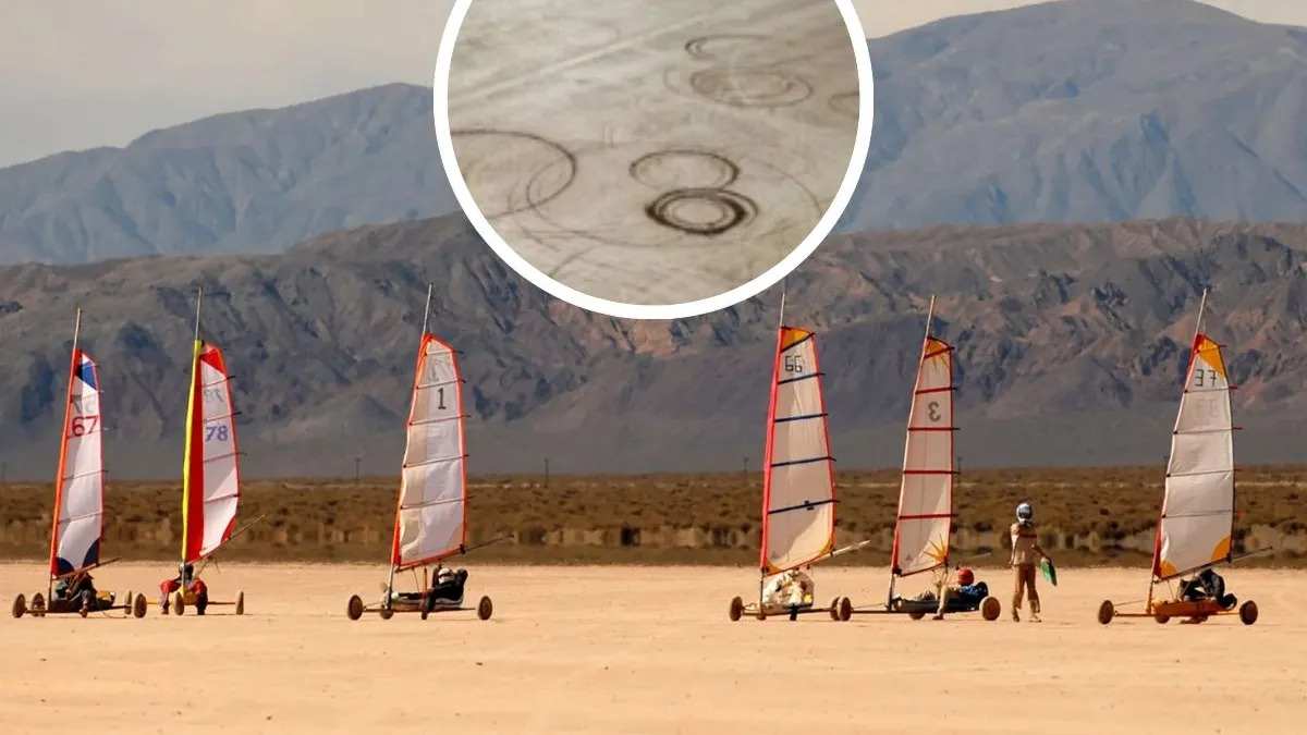 WhatsApp Image 2025-11-03 at 21.13.30