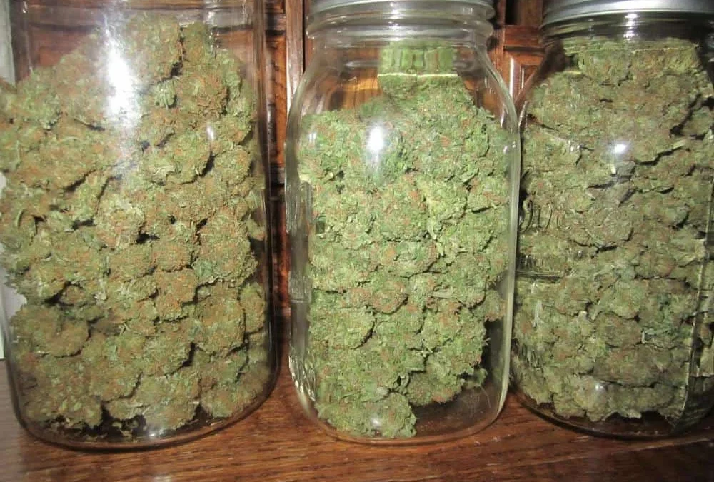 Chilecito: joven de 26 años con pedido de captura intentó escapar de la policía durante un patrullaje, pero terminaron encontrando drogas en su poder